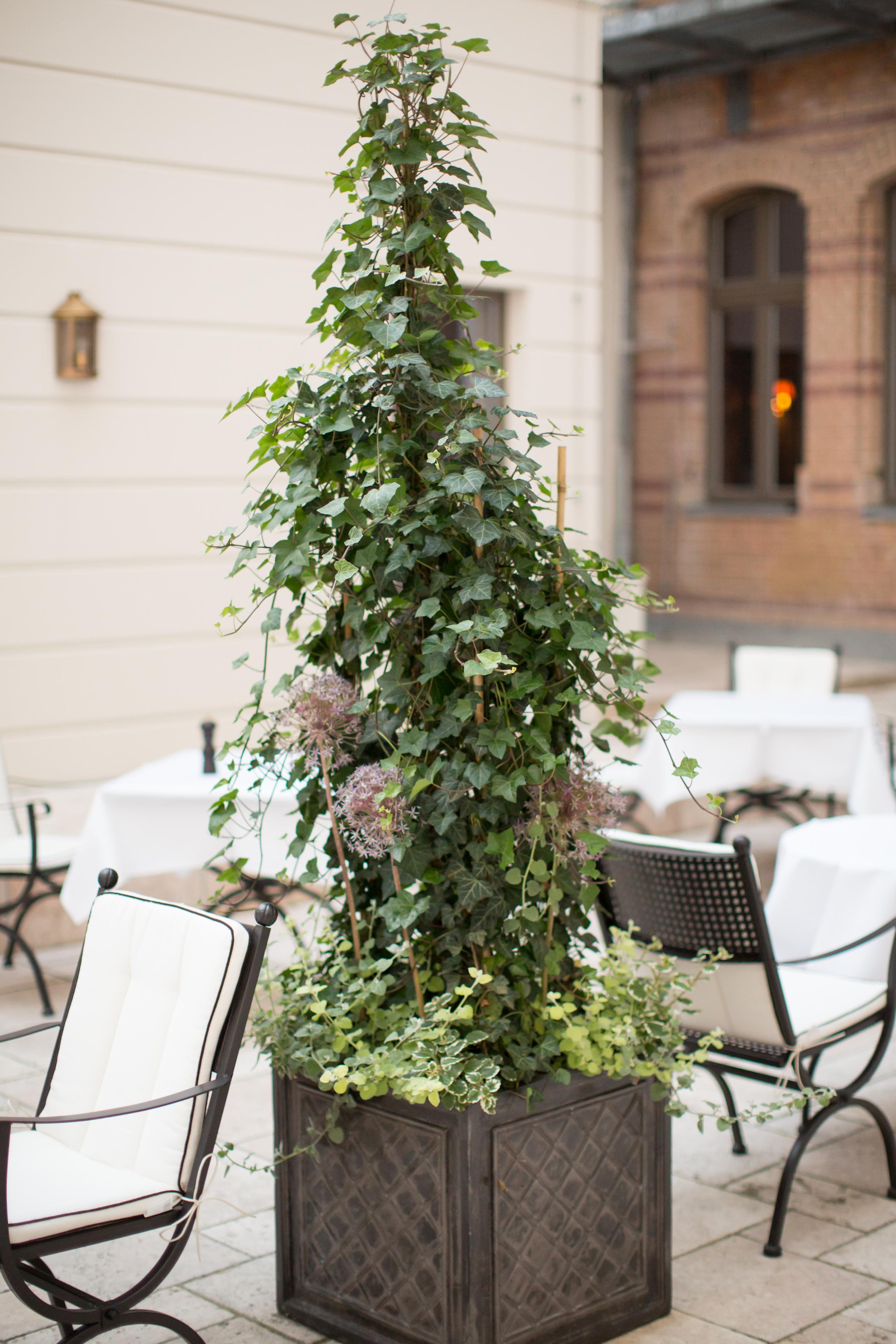 Monbijou Hotel Berlin Dış mekan fotoğraf